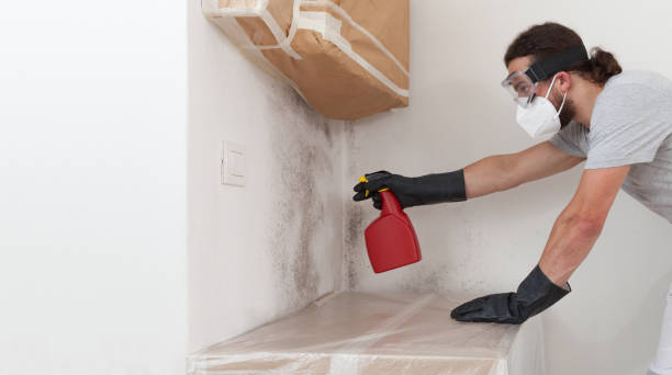 Professional Basement Mold Removal technician working in Eatontown, NJ